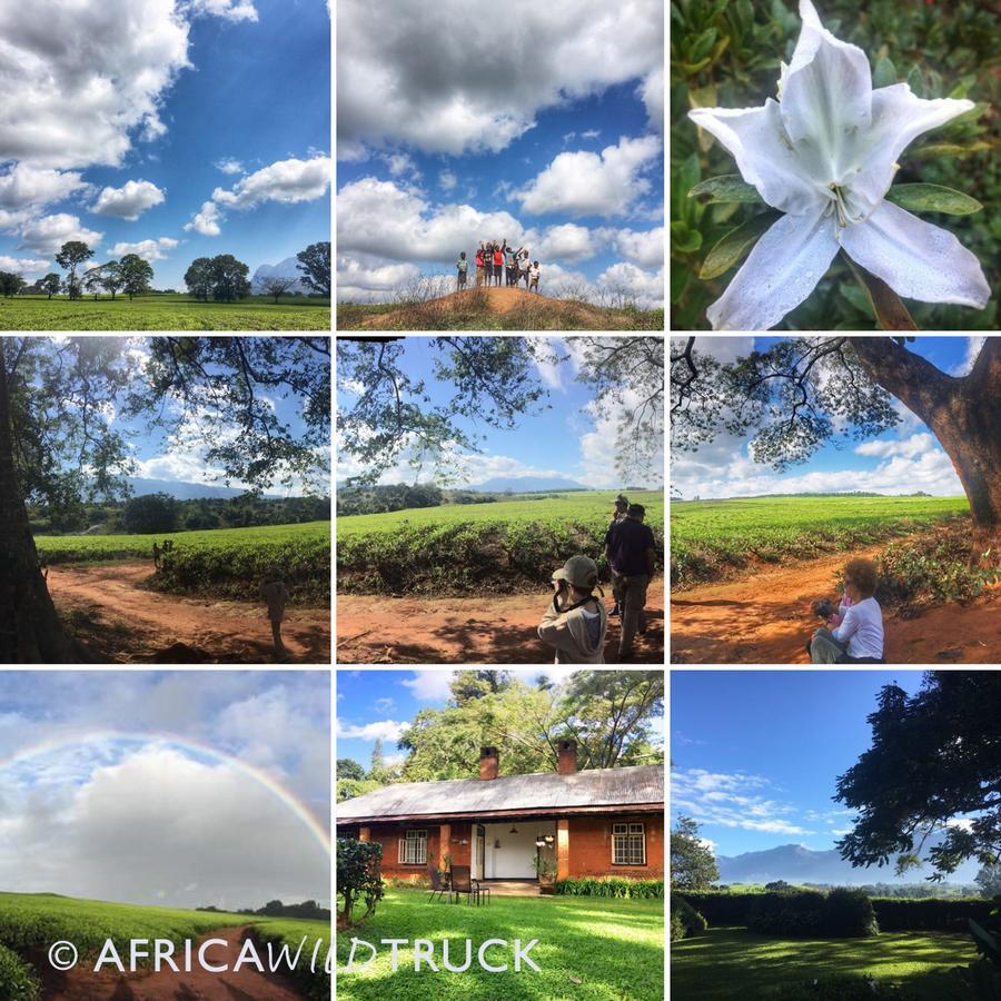 Africawildtruck Eco Camp & Lodge Mulanje Экстерьер фото